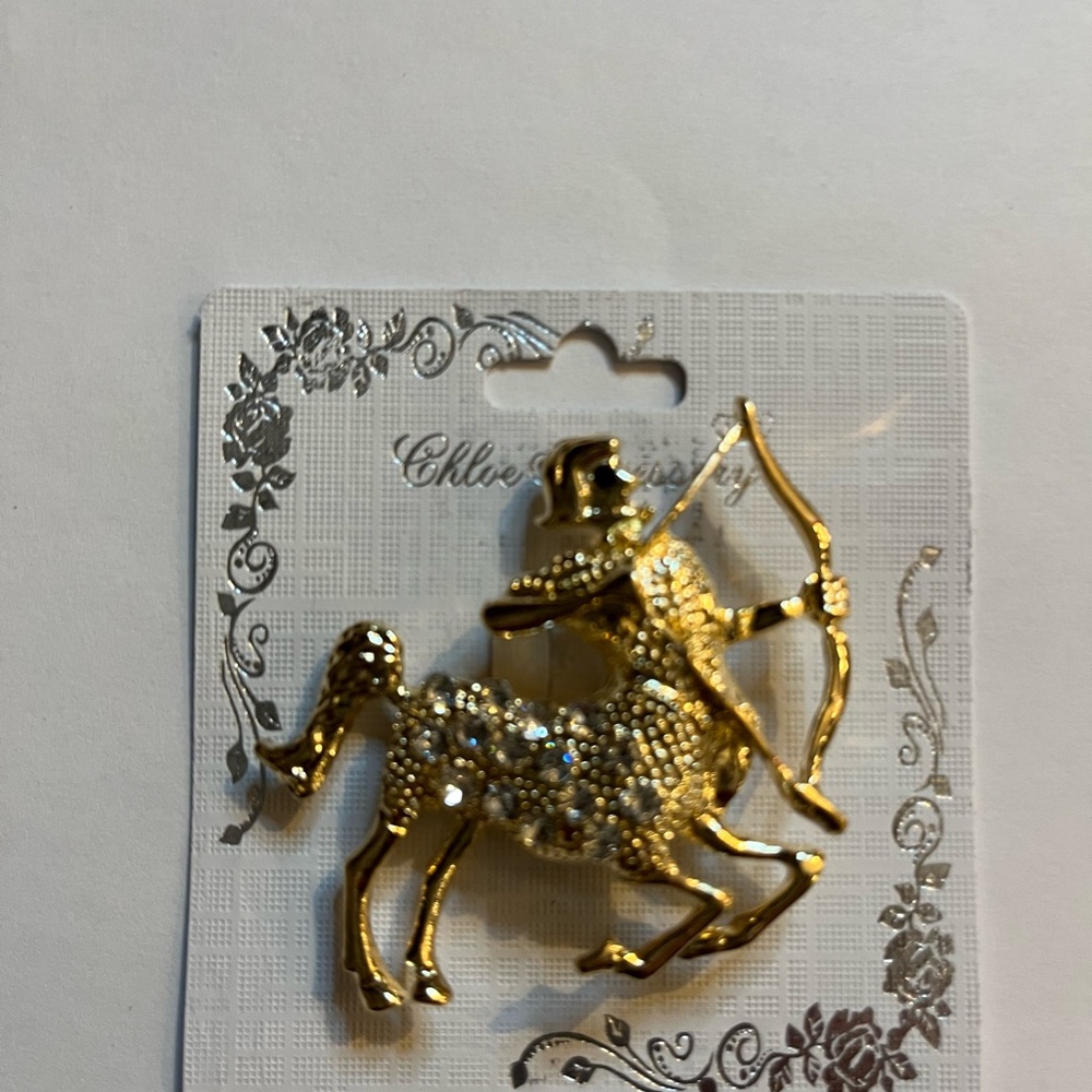 Gold Zodiac Brooch Set - Picture 12 of 13